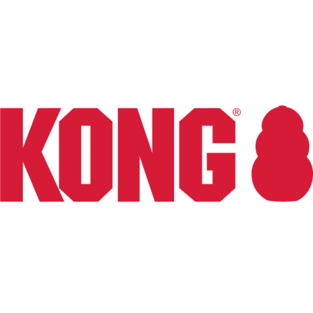KONG logo