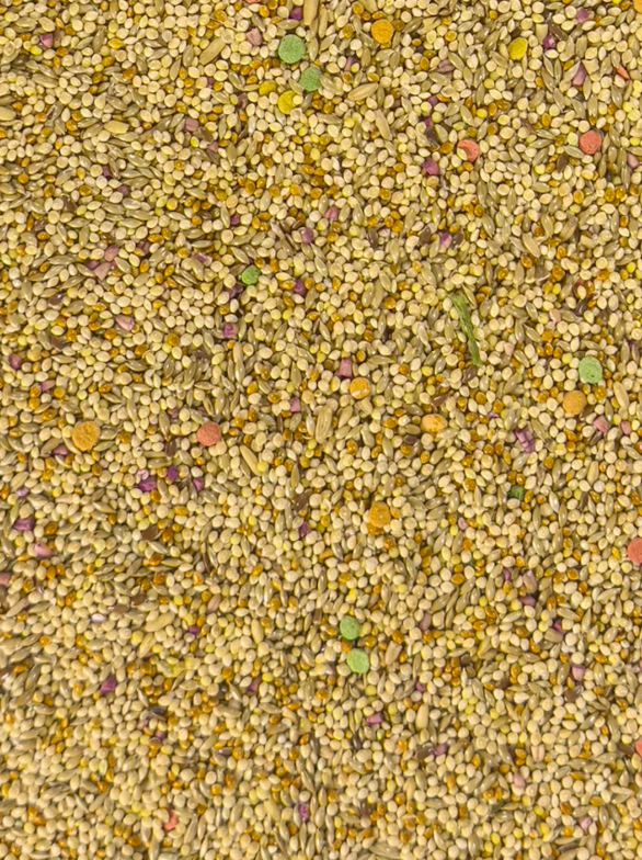 Parakeet Fortified bag