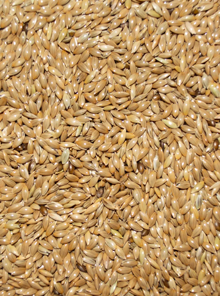 Canary Seed bag