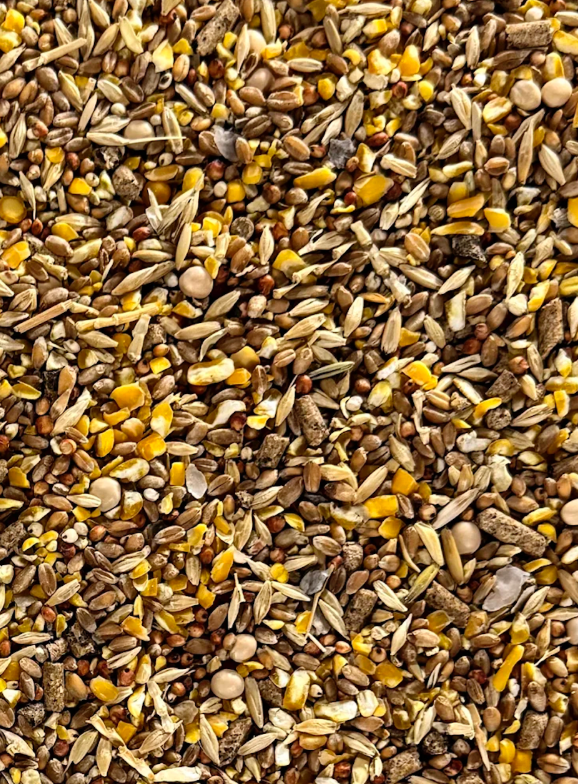 El Ranchero Cracked Corn feed close-up