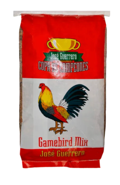 Jose Guerrero Conditioner bag
