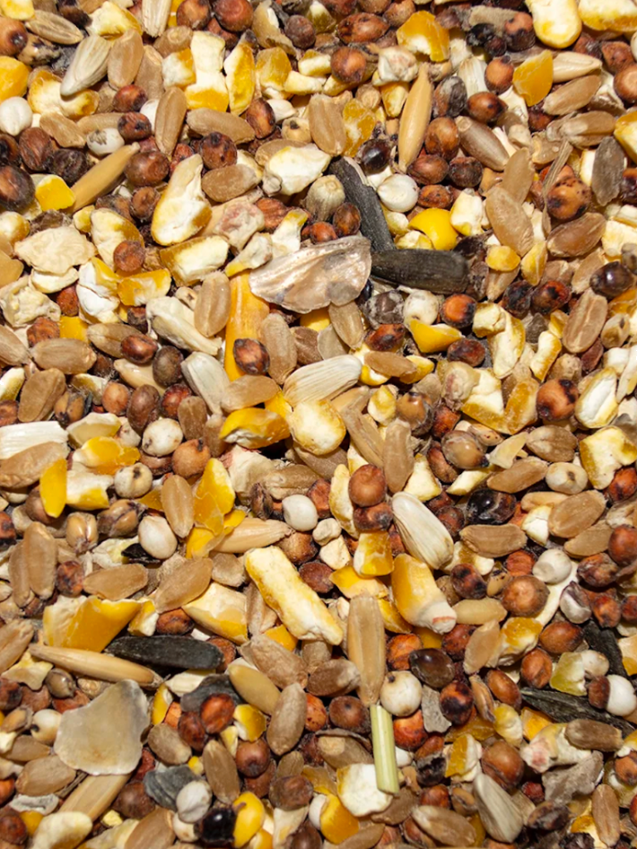 Winner’s Scratch feed close-up